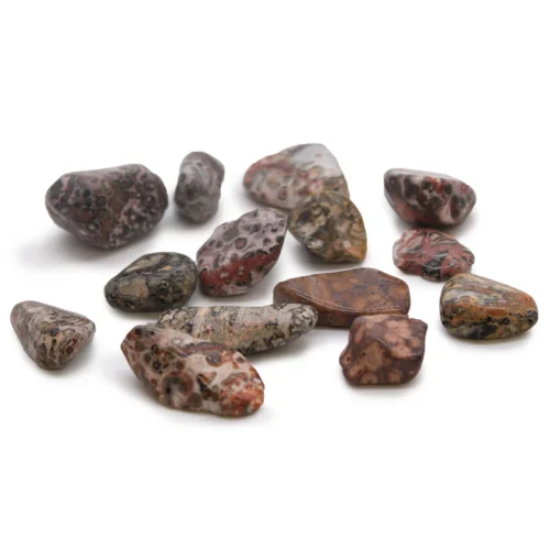 Pack Of 5 - Image 18