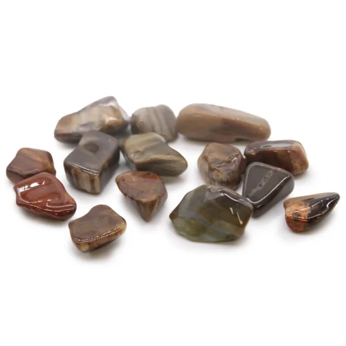 Pack Of 5 - Image 22