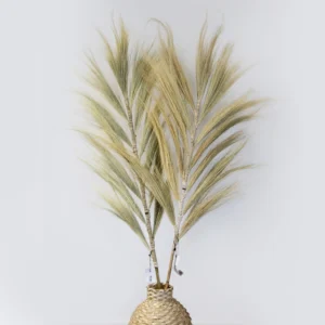 3 x Rayung Grass - Rayung Grass Blond - 1.6m