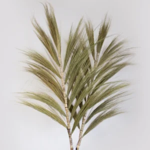 3 x Rayung Grass - Rayung Grass Natural - 2m