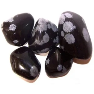 Pack Of 5 - Obsidian Snowflake Large Tumble Stone
