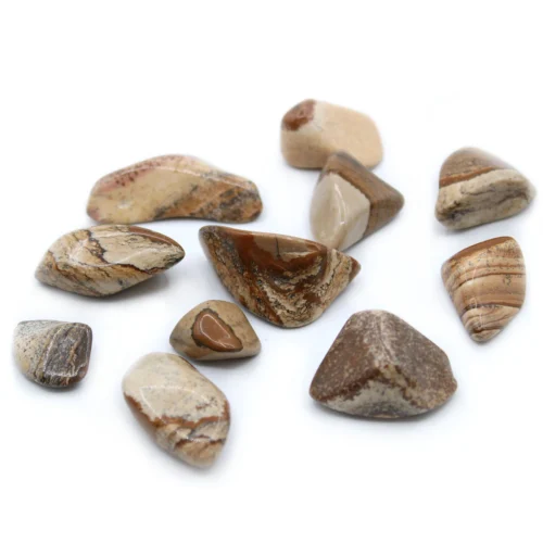 Pack Of 5 - Image 20