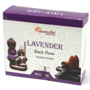 Backflow Cones